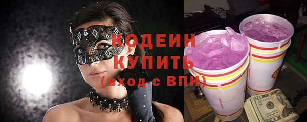 хмурый Арсеньев