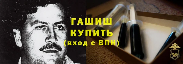 хмурый Арсеньев