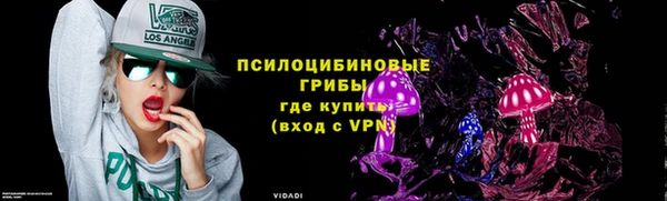 ALPHA PVP Снежинск