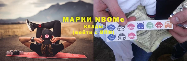 хмурый Арсеньев