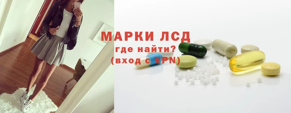 хмурый Арсеньев