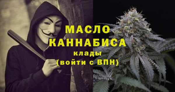 хмурый Арсеньев