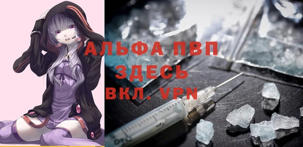 хмурый Арсеньев