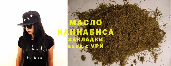 хмурый Арсеньев