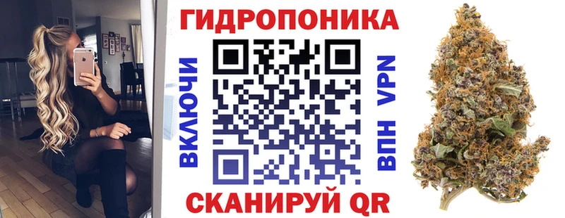 Бошки Шишки Amnesia Злынка